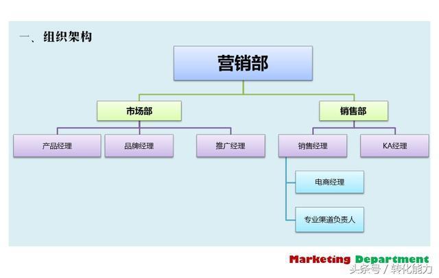 创新企业营销部全面规划方案